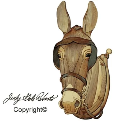 Muldyr - Mule