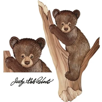 Bjørne unge - Bear Cub