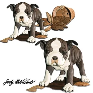 Boston Terier hvalpe