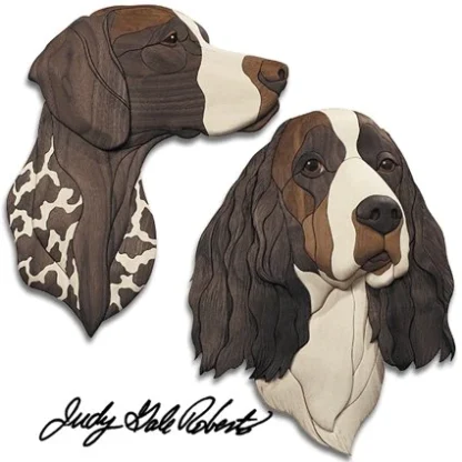 Pointer & Springer Spaniel